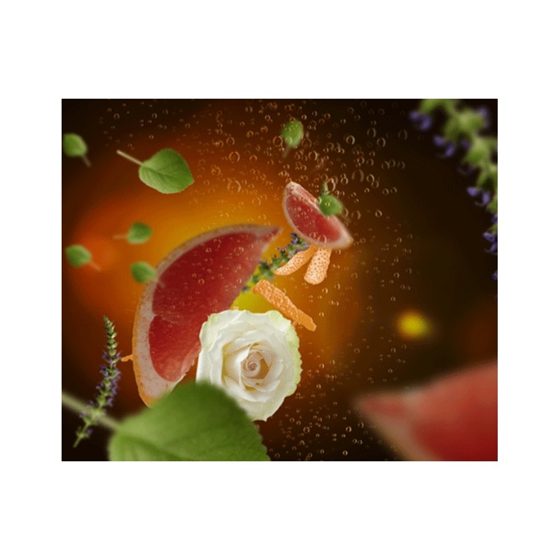 Pétillance exquise - Recharge bouquet