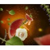 Pétillance exquise - Recharge bouquet