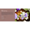 Fleurs de Musc - Recharge bouquet