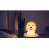 Lampe First Lion