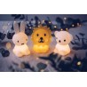 Lampe Lion Mini Collection Miffy and Friends