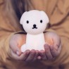 Lampe Snuffy Mini Collection Miffy and Friends