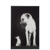 NORBERT Cadre en verre trempé chien 81x120