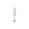 OPTIC Boite de 12 verres à Champagne
