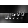 OPTIC Boite de 12 verres à Champagne