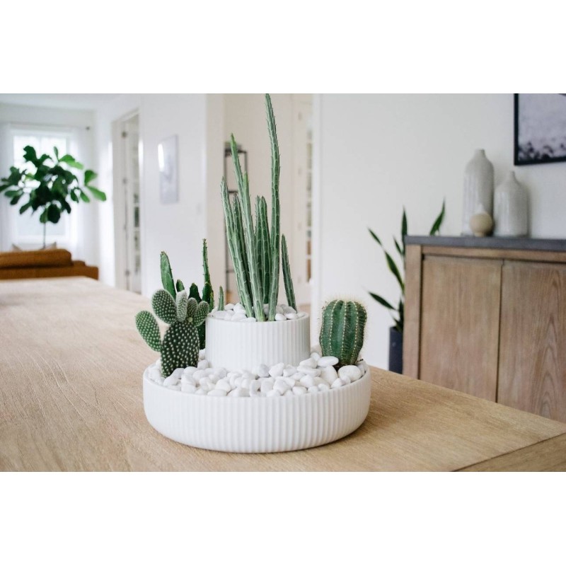 FOUNTAIN Planter